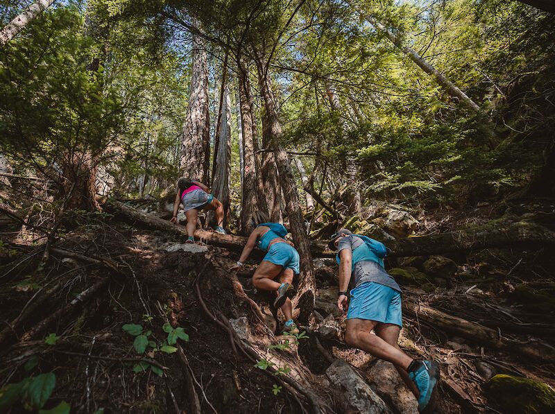 Sea to Sky Gondola hiking trails. The Climb trail