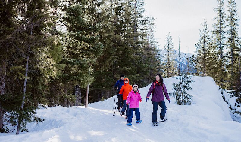 a family snowshoeing on a trail