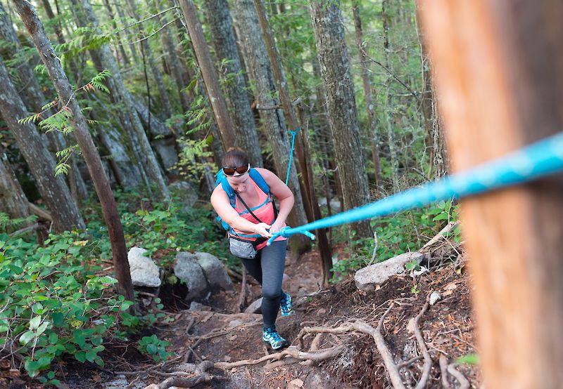 Sea To Summit Trail