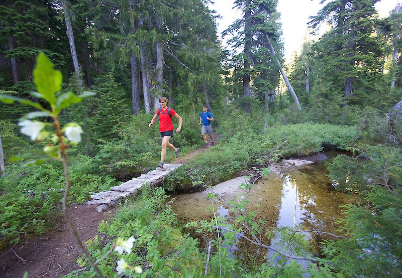 Shannon Basin Loop
