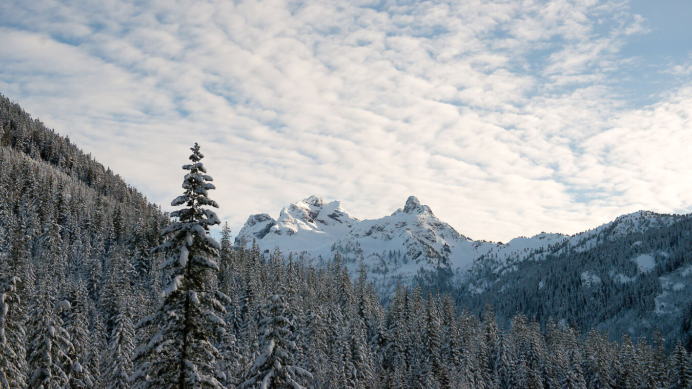 Free Interpretive Tour Sea to Sky Gondola