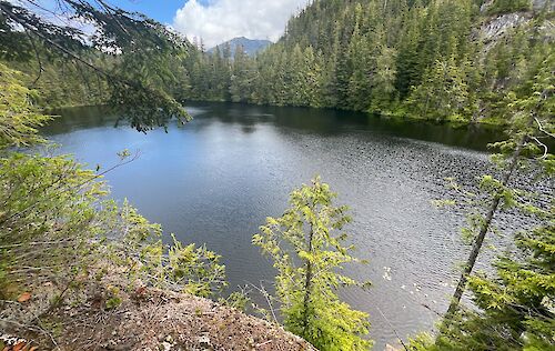 Petgill Lake Trail
