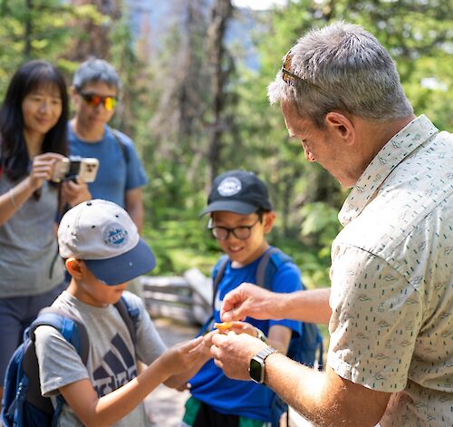 What Is the Alpine Alley Guided Tour on Family Fun Night?