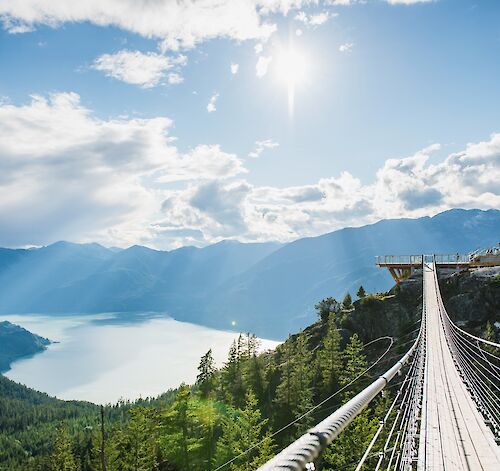 Looking for an Easy Adventure?