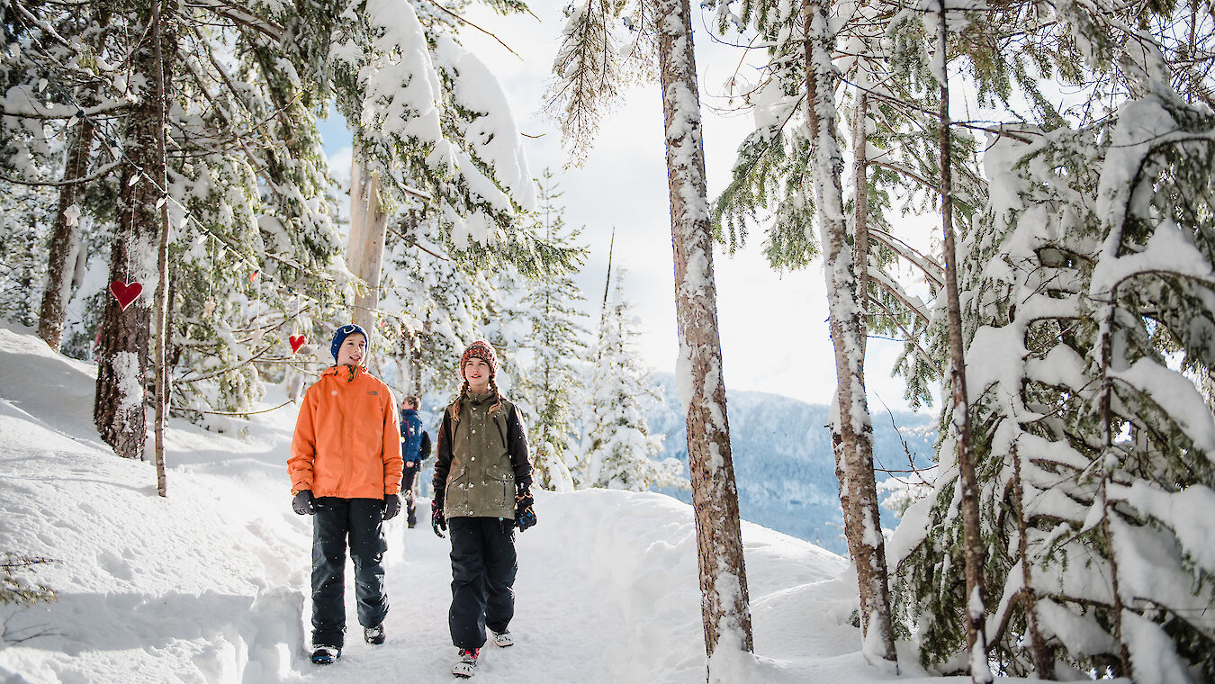 Sea to Sky Gondola, Trails, Walking, Winter, Squamish