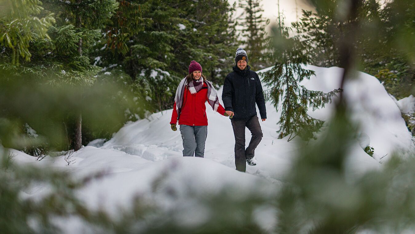 Sea to Sky Gondola, Winter activities, Squamish