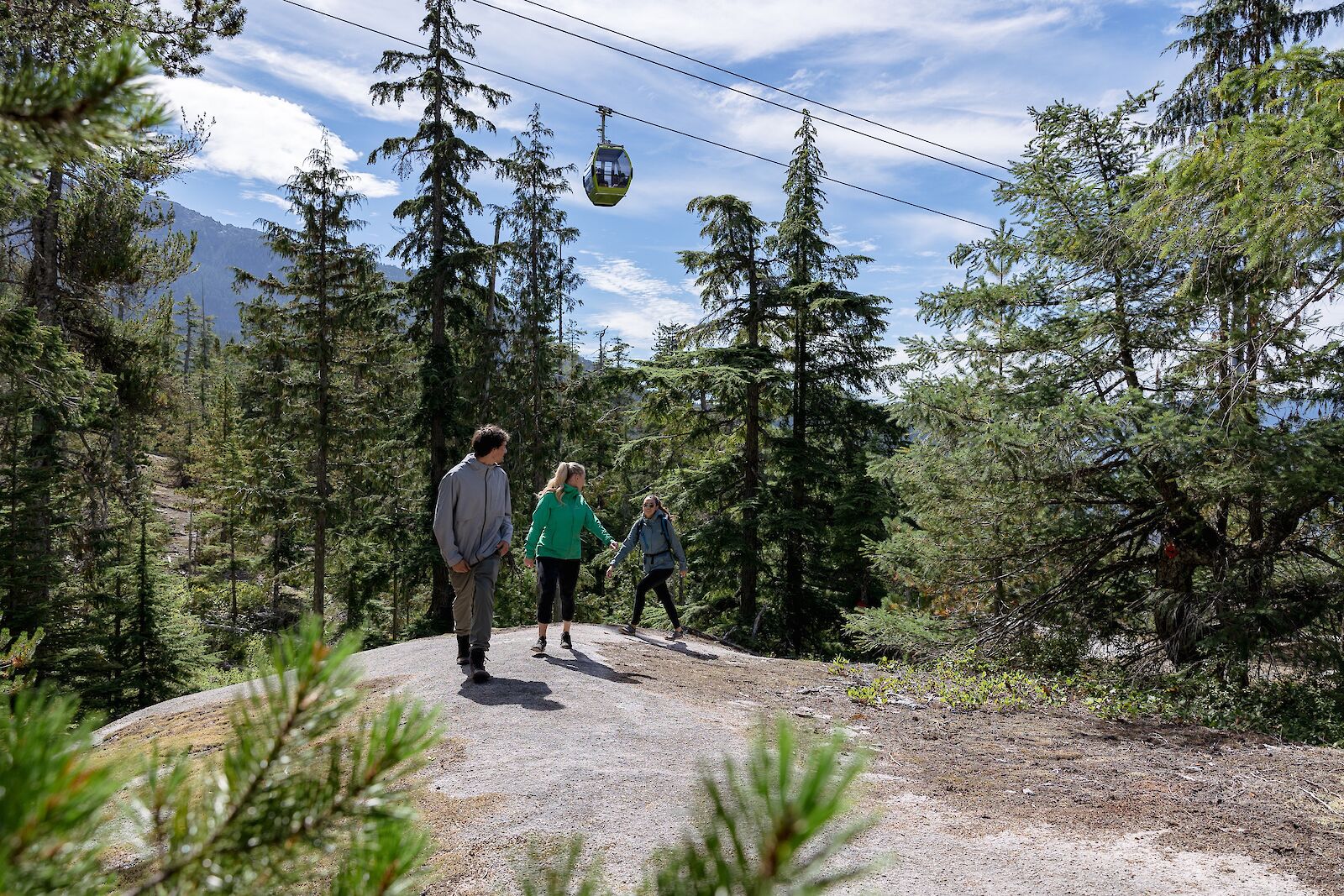 Hiking at the Sea to Sky Gondola during Fall is the perfect experience