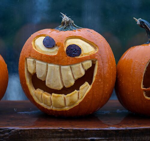 What’s Happening at Sea to Sky Gondola This Halloween?